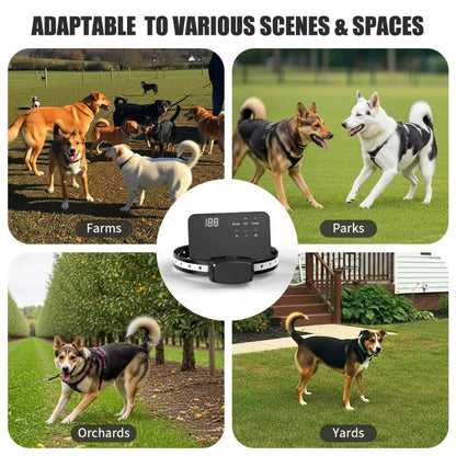 Wireless Dog Fence Training System