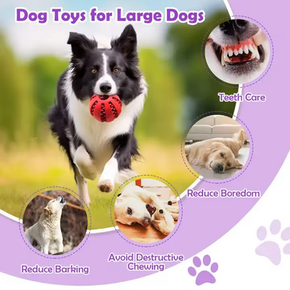 Heavy Chewer Dog Toy Box
