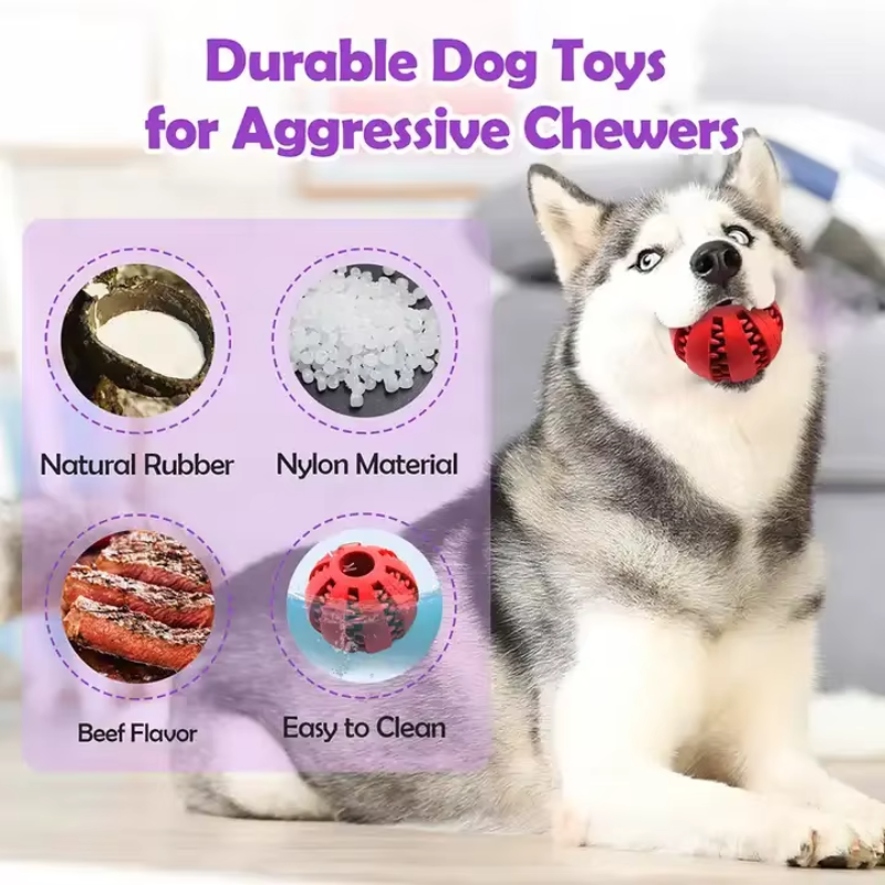 Heavy Chewer Dog Toy Box