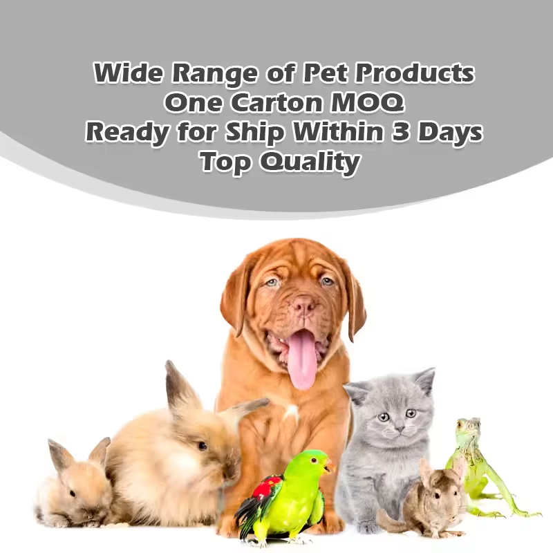 Heavy Chewer Dog Toy Box