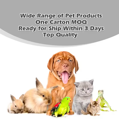 Heavy Chewer Dog Toy Box