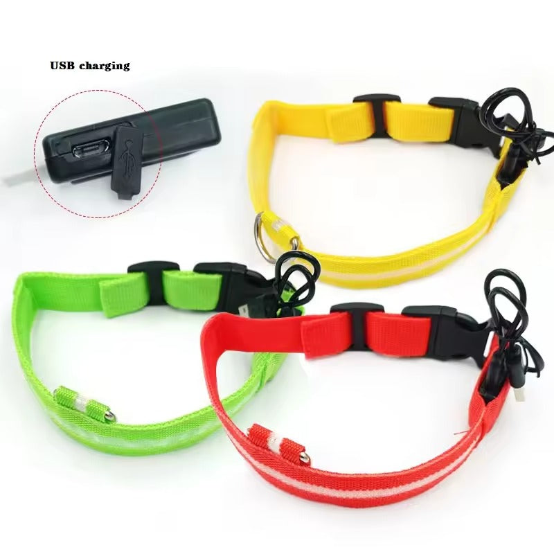 Rechargeable LED Dog Safety Collar