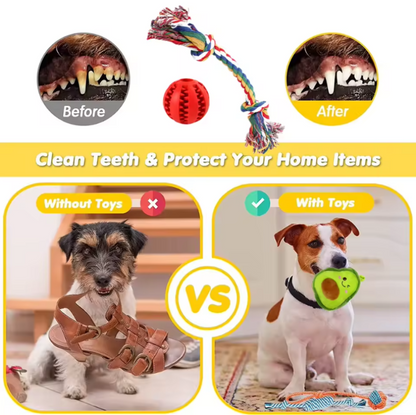 Heavy Chewer Dog Toy Box